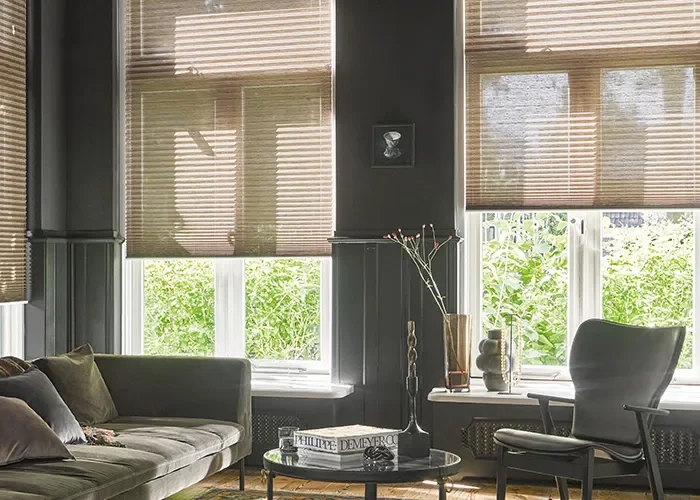 Een woonkamer met grijsgekleurd bankstel en lichtbruine plisse shades voor de ramen